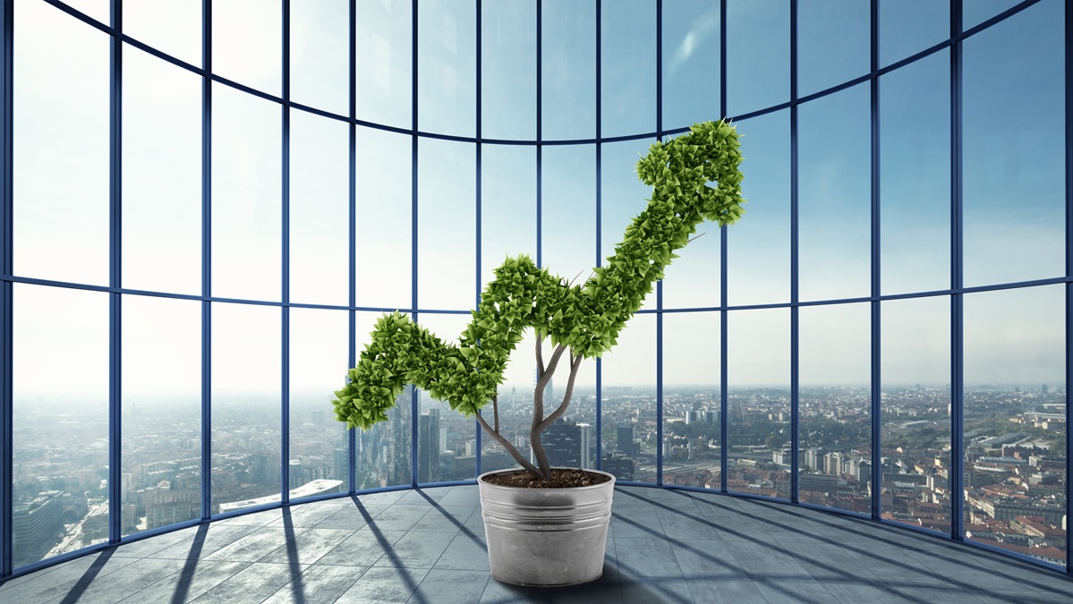 Grow your business with us. Become a Pro today