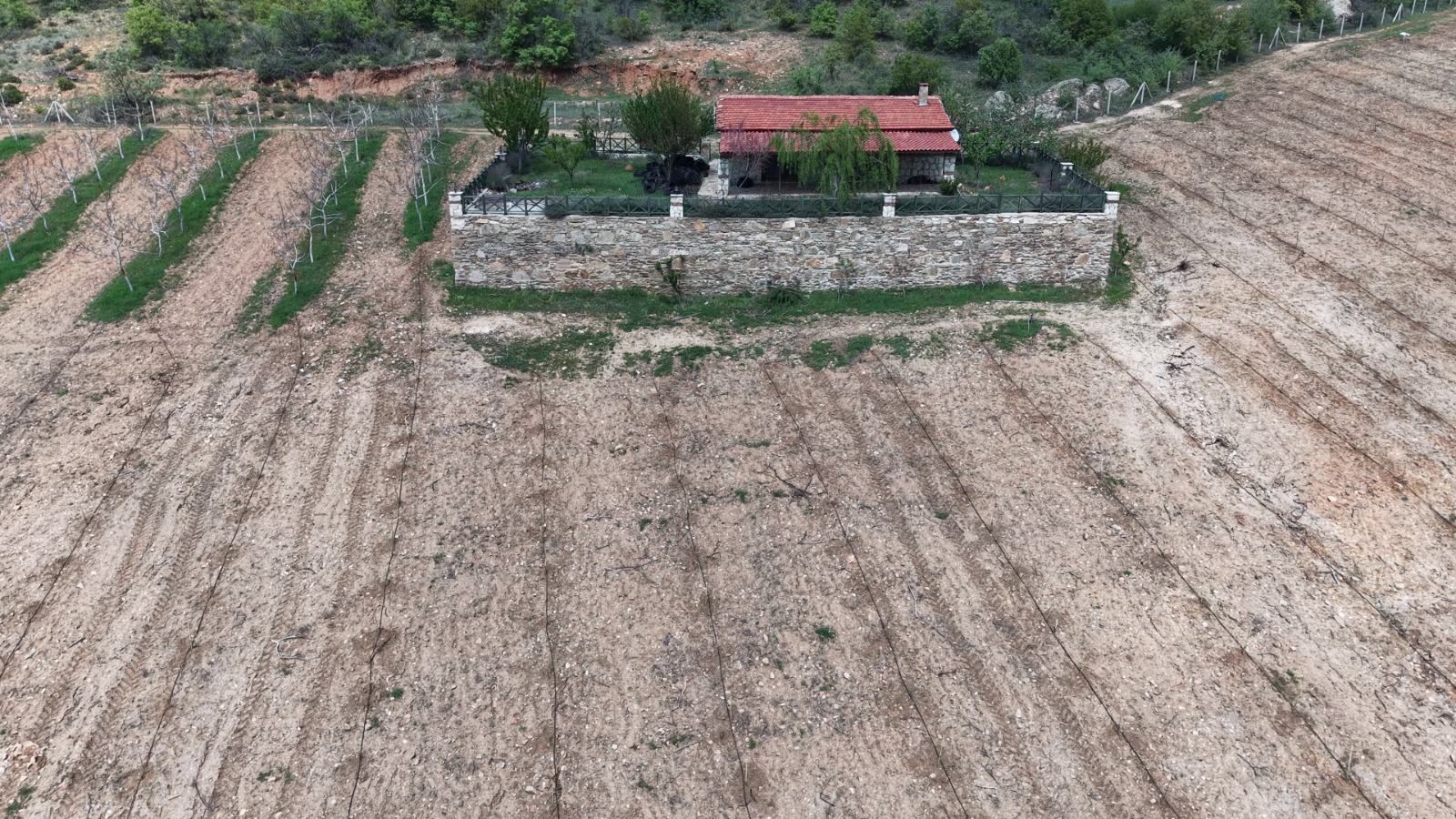 Licensed Stone House & 89,150 m² Olive Grove in Manisa Gördes Yeşilyurt