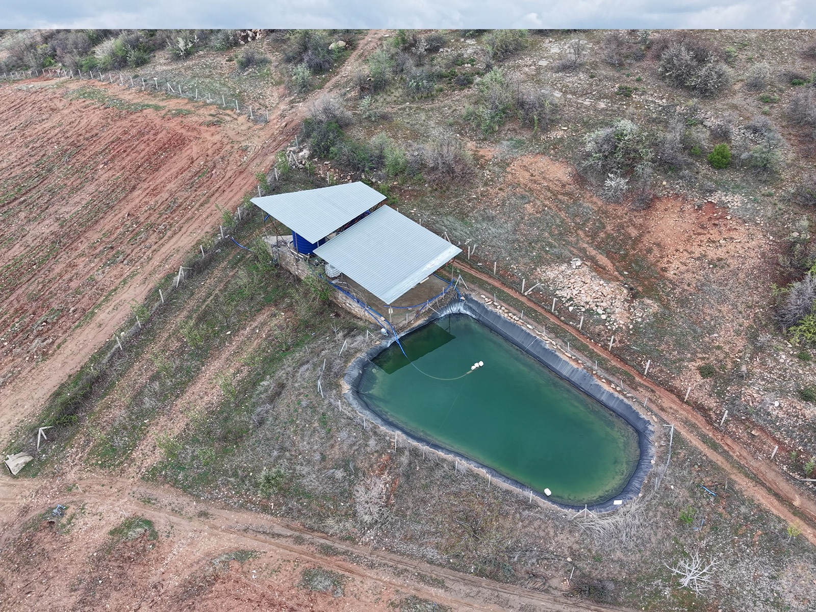 Licensed Stone House & 89,150 m² Olive Grove in Manisa Gördes Yeşilyurt