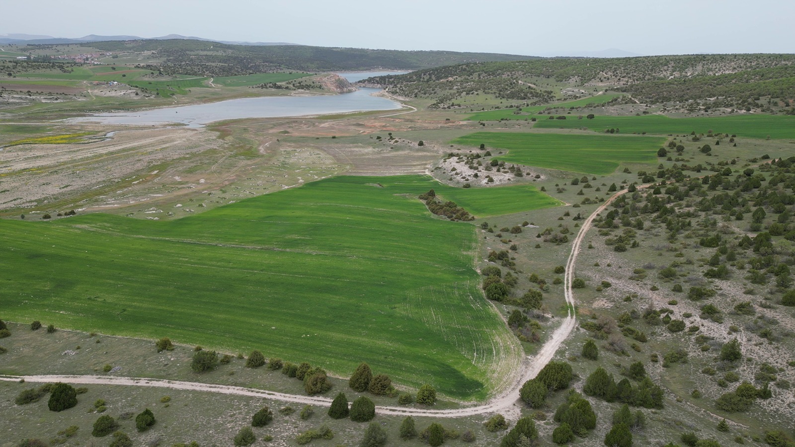 222,000 m² Agricultural Land by the Dam Lake on the Kütahya–Afyon Border