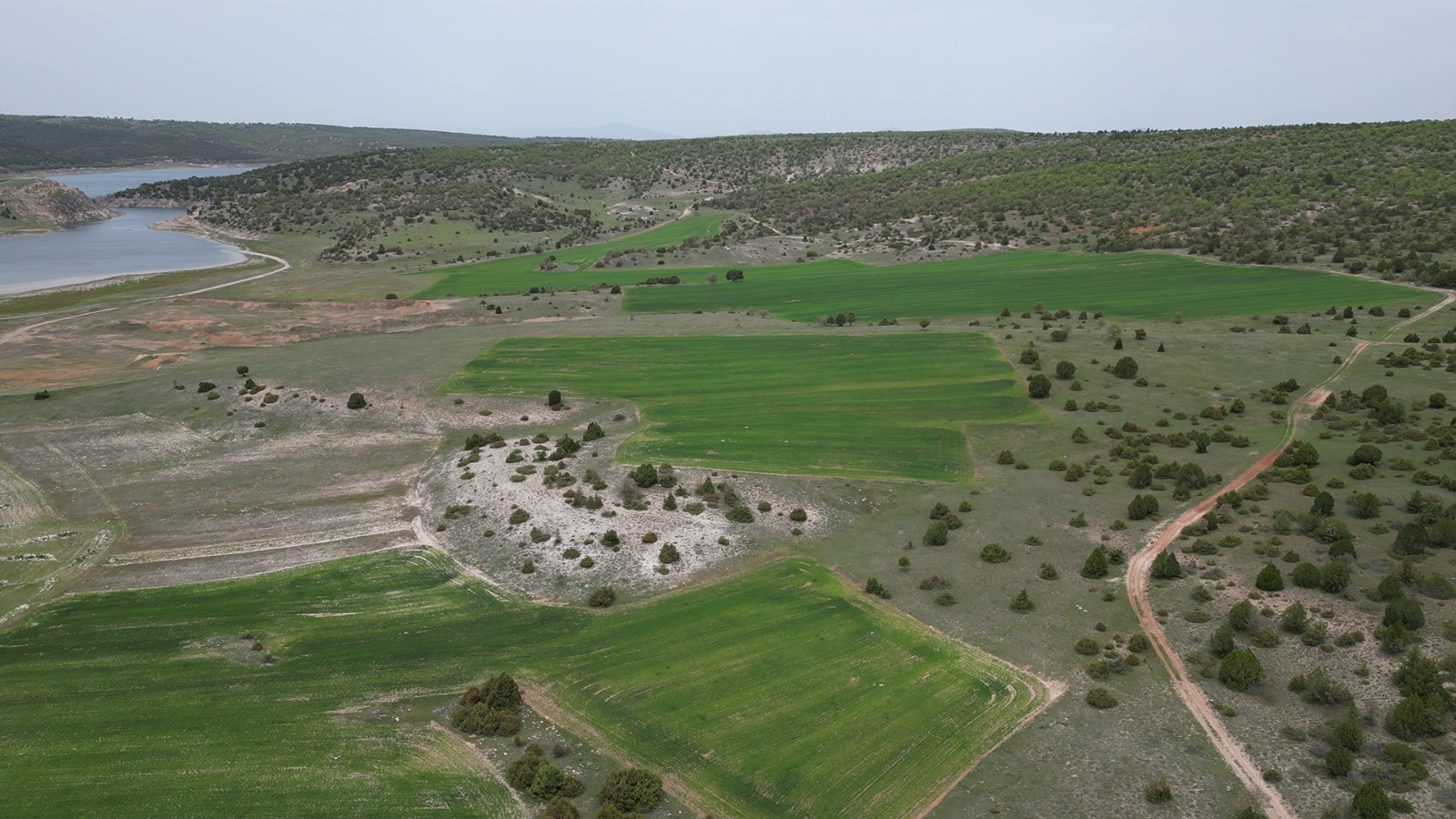 222,000 m² Agricultural Land by the Dam Lake on the Kütahya–Afyon Border