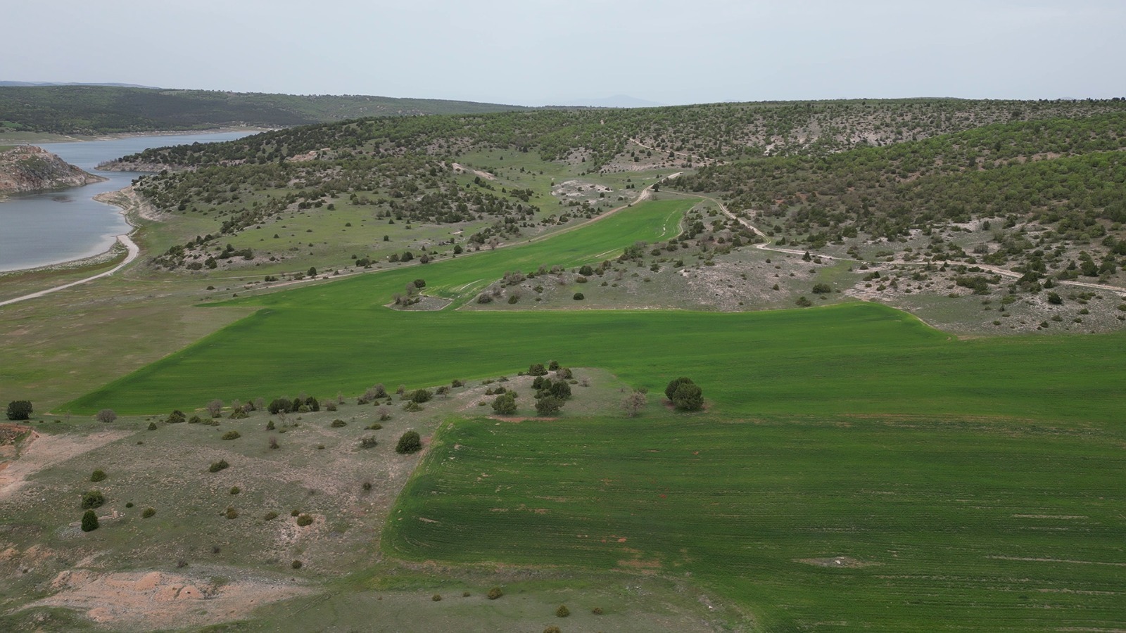 222,000 m² Agricultural Land by the Dam Lake on the Kütahya–Afyon Border